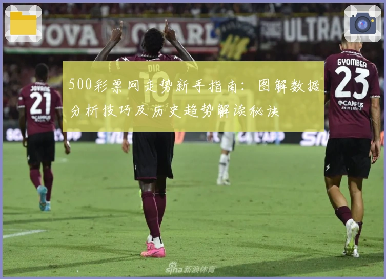 500彩票网走势新手指南：图解数据分析技巧及历史趋势解读秘诀