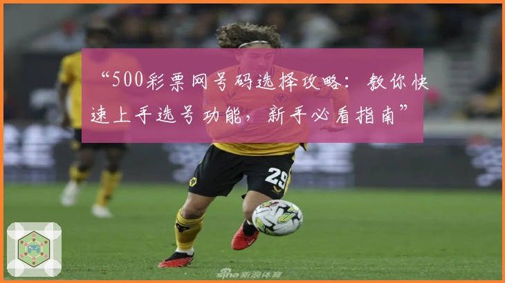 “500彩票网号码选择攻略：教你快速上手选号功能，新手必看指南”