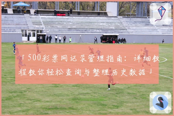 「500彩票网记录管理指南：详细教程教你轻松查询与整理历史数据」