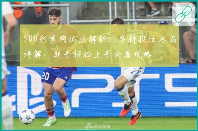 500彩票网玩法解析：多样投注方式详解，新手轻松上手必看攻略